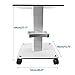 Beauty Cart - Salon Rolling Trolley Cart with Wheels, 3 Tier Mobile Spa Lab Service Esthetician Beauty Trolley,Max Load 110 lbs