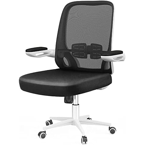 naspaluro Office Chair Ergonomic Chair with 90° Flip-up Armrests Adjustable Office Desk Chair Mesh Swivel Chair with Lumbar Support for Home Office Study Use Cover