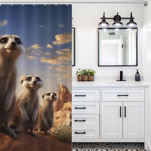 Rideau de douche polyester Suricate 183x183 cm lavable avec 12 crochets
