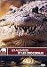 Produktbild Les Alligators et les crocodiles [FR Import]
