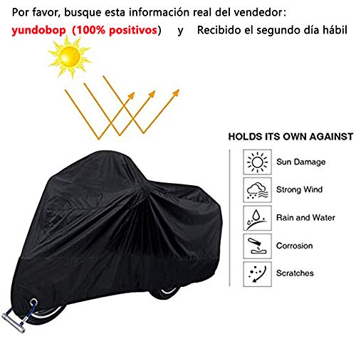 Motos, Toy Imagen adicional