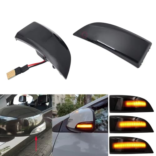Luz Retrovisor Lateral intermitente Scenic III 2009-2015 5