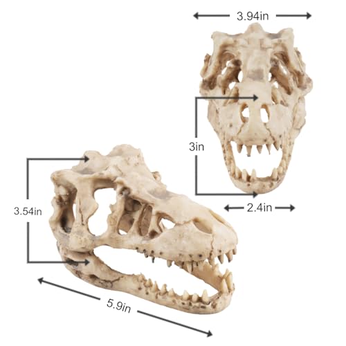 Image of Dinosaur Skull Aquarium Decoration,Fish Tank Decor,6.3 inchx4 inchx4 inch | Hideaway for Fish, Natural Look, Fun Underwater Environment