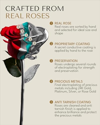 Image of Forever Rose Real Rose Dipped in Platinum, Clear Glass Bud Vase & Gold Box