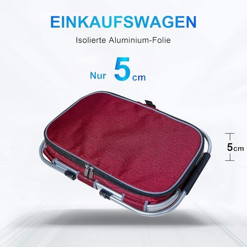 ABIUBIU Einkaufskorb Kühltasche Groß Isolierkorb KüHlkorb KüHltasche Picknickkorb Picknicktasche mit Zwei Griffen -für Reisen/Picknick/Einkaufen/Geschenk