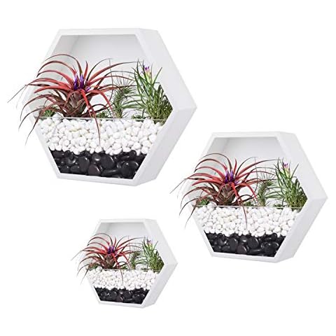 Ecosides Hexagon Wall Hanging Planter, Mixed 3 Iron Honeycomb Wall Planter Indoor, Geometric Terrarium, Wall Vase Florarium, Metal Planter for Wall Decor, Hanging Terrarium (White) Cover