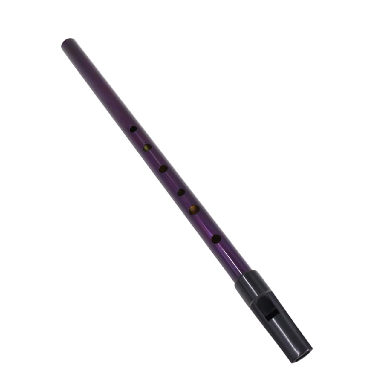 Toddmomy Soprano Descant Recorder Metal Clarinet Instrument Irish Whistle Beginner Kit d Treble Boys and Girls Music Toy Purple Exquisite Craftsmanship