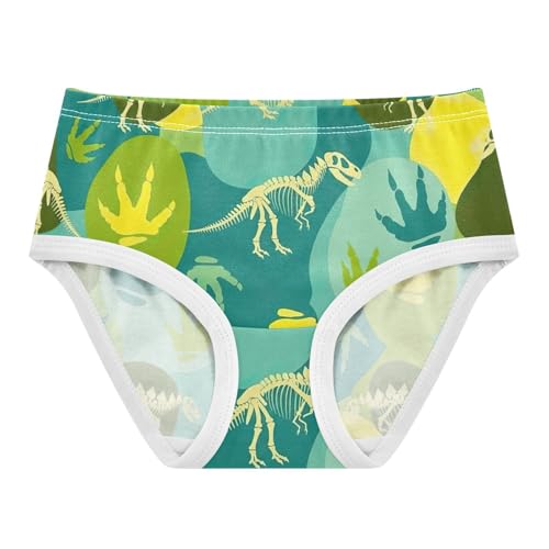 Dinosaur Skeletons Cotton Toddler Underwear, Girls Briefs, 2T–8 Years