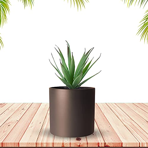 Image of Xtore Pleasing Planter Flower Pot | Home Decor Addon | Matte Finish - Pack of 1, Brown