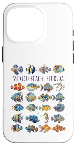 ���L�V�R�r�[�` �t�����_ �J���t���ȋ��̃f�U�C���B �X�}�z�P�[�X iPhone 16 Pro �p