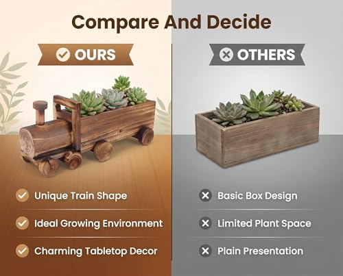 Plantes succulentes en pot de train Akozon solution déco petits espaces - 7