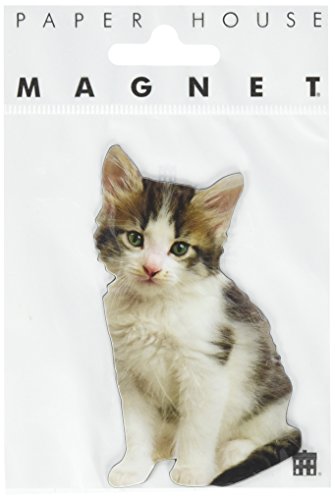 Paper House Productions M-0503E Die Cut Refrigerator Magnet, White Kitten (6-Pack)