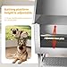 Cxforste Professional Stainless Steel Dog Washing Station for Home, 50
