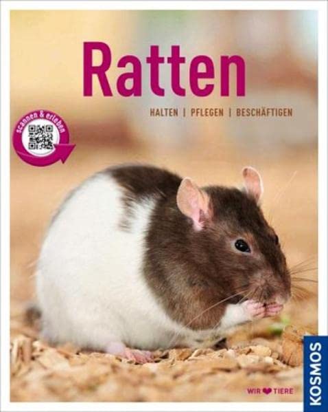 Ratten: halten, pflegen, beschäftigen (Mein Tier)