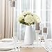 DECORPIA Premium Ceramic Vase for Pampas Grass - Flower Vase for Home Decor, Minimalism Style for Modern Table Shelf, Vases for Flowers for Kitchen Living Room Centerpieces, Office Desk Vase (Medium)