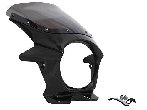 Z900RS用ワールドウォーク　ビキニカウル AEROスクリーンスモーク仕様 Amazon | ワールドウォーク Z900RS用ビキニカウル メタリック