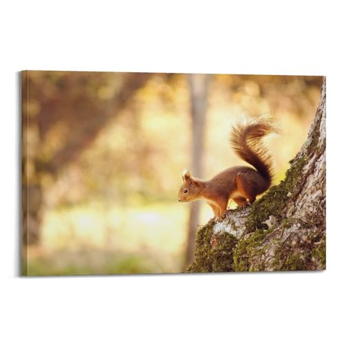 Poster écureuil mignon sur tronc d'arbre 40x60 cm HAYZE toile décorative