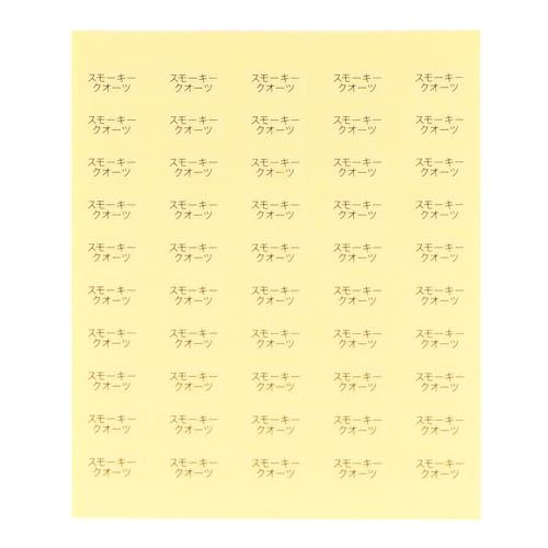  { ANZT[䎆pV[in×jys?ȍs n܂z (X[L[NI[cE, 200)