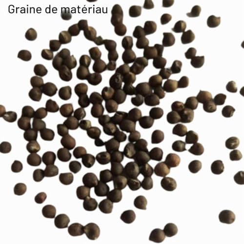 Luojuny Graines d'hibiscus, 50 pièces/sac graines d'hibiscus fleur tropicale décor à la maison vivace en pot bonsaï graines de plantes pour jardin Graines d'hibiscus – vue 7