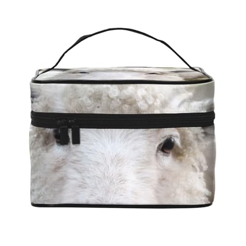 킢 r σ|[` e CN|[` ^ @\I e h  y o s |[` fB[X o @\I y Aj v[g