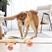 TZQFROCE Interaktives Hundespielzeug Hunde Ball Spielzeug Automatisch Rollender Ball für Hunde interaktiver Hundespielball für Aktivitäten und Unterhaltung