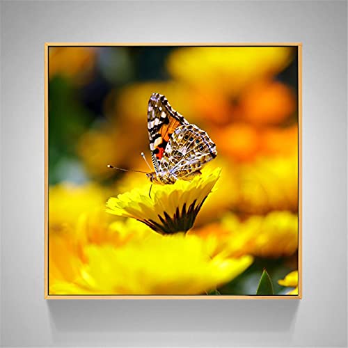 Tableau Tournesol Jaune et Papillon 50x50cm Deco Fleur Cuisine