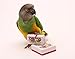 Clicker for Parrot Trick Training (Set of 3)