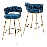 GOOLON Velvet Barstool Set of 2 Woven Backrest Chair for Kitchen Counter Modern Bar Stool Soft Cushi