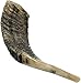 Traditional Shofar from Israel, Jewish Natural Musical Instrument, Clear Sounding Authentic Horn Shofar, Beautiful Sounding Shofar, Natural Ram Horn Shofar (10
