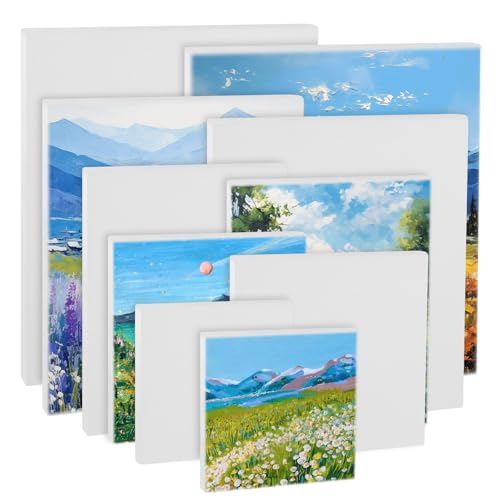 10 peças telas brancas impressas, telas para pintura, telas emolduradoas, telas de pintura acrílica, para profissionais, fãs e principiantes, pintura acrílica e a óleo - tela branca