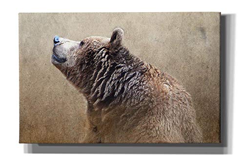 Epic Graffiti Epic Graffiti Big Bear By Karen Smith Giclee Canvas Wall Art 40 X 26 Brown From Amazon Daily Mail