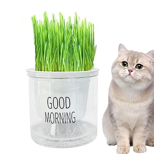 Kit Di Crescita Per Erba Gatta HOMURY - 2 Vassoi Idroponici In Polipropilene Per Gatti