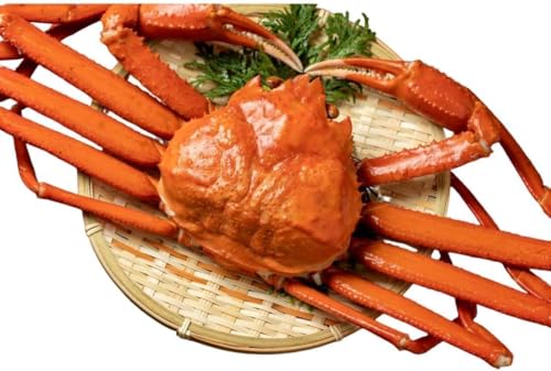 本ズワイガニ(姿)約900g前後 プレミアム級 ズワイガニを堪能 【新物】カニ 冷凍! ズワイガニ ずわいがに ずわい蟹 ロシア産 北海道加工 ボイル 冷凍 かに カニ 蟹 カニ味噌 お取り寄せ 海鮮 お土産 北海道かに (2尾1800g前後)