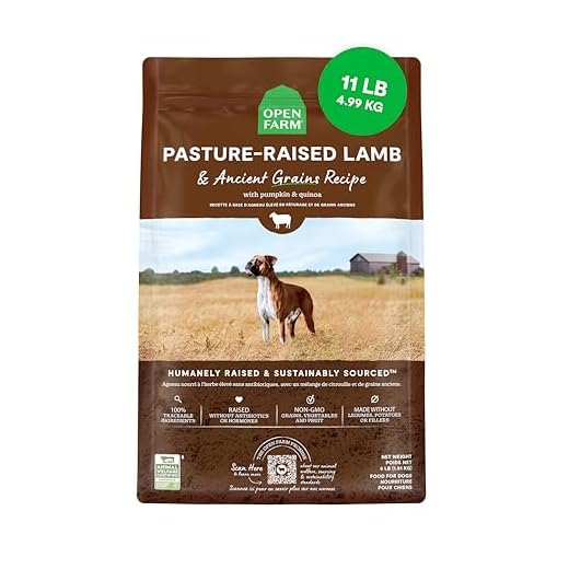 Open Farm, Ancient Grains Dry Dog Food, Protein-Rich & Nutrient Dense, 90% Animal Protein Mixed with Non-GMO Fruits, Veggies and Superfoods, Pasture Raised Lamb Recipe, 11lb Bag