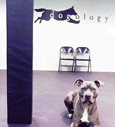 We Pad It, Closed Cell Pad, 4" X 4" Sq., Custom Height, 2 Inch Thick, Hook/Loop Closure, Black, Made In Usa #TOP2