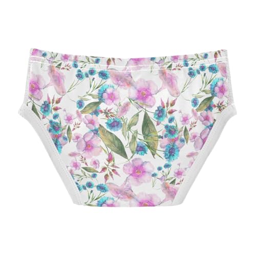 Boys' Exclusive Briefs Toddler Underwear 95% Combed Cotton Boxerbriefs 2T Watercolor Floral Pattern 812