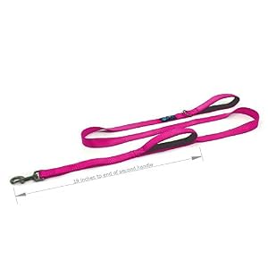 Max and Neo Double Handle Traffic Dog Leash Reflective - We Donate a Leash to a Dog Rescue for Every Leash Sold (Pink, 6 FT) Max and Neo Double Handle Traffic Dog Leash Reflective – We Donate a Leash to a Dog Rescue for Every Leash Sold (Pink, 6 FT)