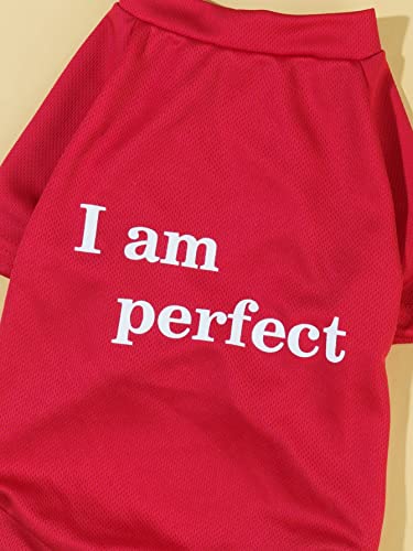 Qwinee Letter Graphic Dog T-Shirt Dog Sweatshirt Puppy Dog Clothes For Cat Puppy Kitten Small Medium Large Dogs Multicolor Medium #TOP3