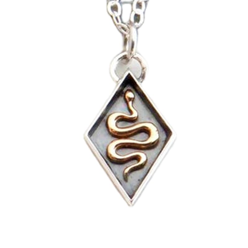 Tótem de serpiente de plata y bronce: colgante místico de metal mixto