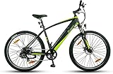 SachsenRAD E-Bike R8 Flex II, 29 Zoll Sport Mountainbike, 250W Motor, 36V/12,5Ah 25km/h, Shimano 7-Gang Scheibenbremsen LCD-Display, Kenda Reifen, Vorderlicht mit StVZO-Zertifiziert Elektrofahrrad