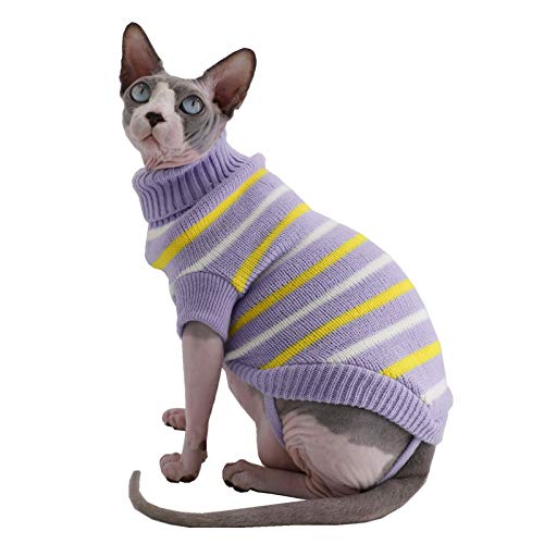 Best Sphynx Cat In Sweaters A PrizeWinning Feline In Fashion