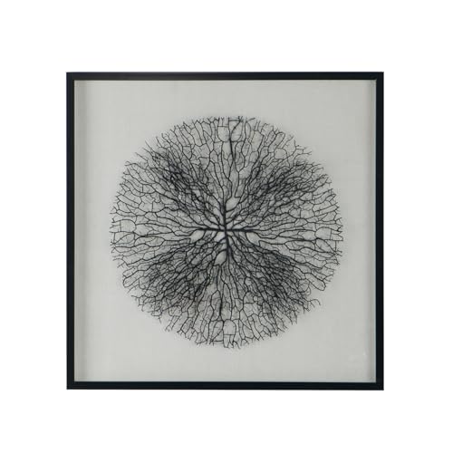 Maykoosh Shadow Box Wall Art - Modern Framed Wall Decor
