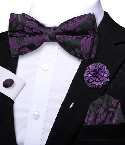 Image of Dubulle Mens Paisley Striped Bowtie Set Pre-tied Bowtie for Men and Pocket Square Set Wedding Business
