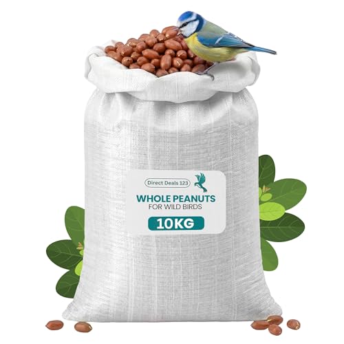 (10 KG) Whole Peanuts for Wild Birds Food 100% Natural Ingredients High Energy Nuts for Garden Birds No Additives All Season Feeding Healthy and Protein Rich Peanuts for Outdoor Feed