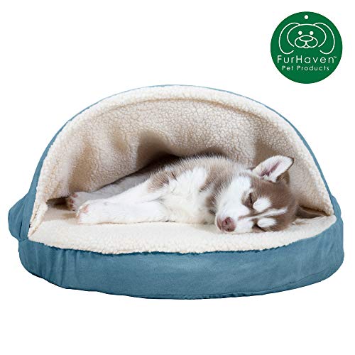 Best Covered Dog Beds