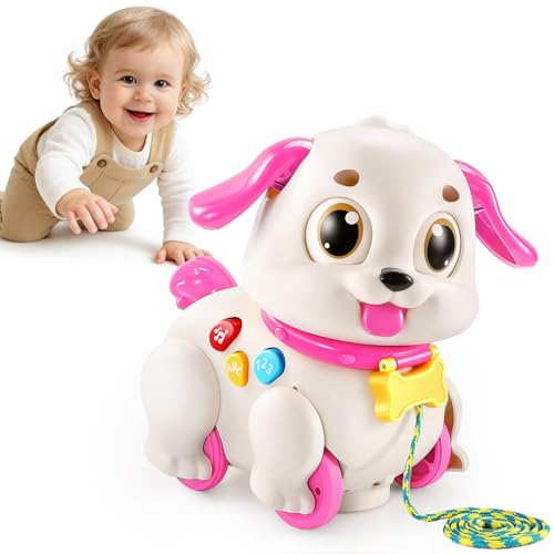LUDILO Musical Puppy Toys for 1 Year Old Girl Gifts Baby Toys 6-12-18 Month by LUDILO - Used condition - US$32.91