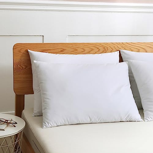 Set 2 Almohadas de Pluma Queen Lavables