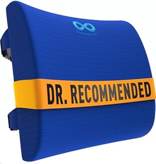 Everlasting Comfort Lumbar Support Pillow for Office Chair - Memory Foam Back Cushion for Car Seat - Promotes Better Posture, Back Pain Relief - Ideal Gaming and Desk Chairs Work and Home Essentials