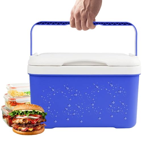 Neveras con Aislamiento Térmico - Contenedor Aislado Portátil de 6 Litros | Enfriador con Asa Portátil - Para Actividades al Aire Libre Automoción Coche Senderismo Viaje Gimnasio Viaje de Negocios Pic