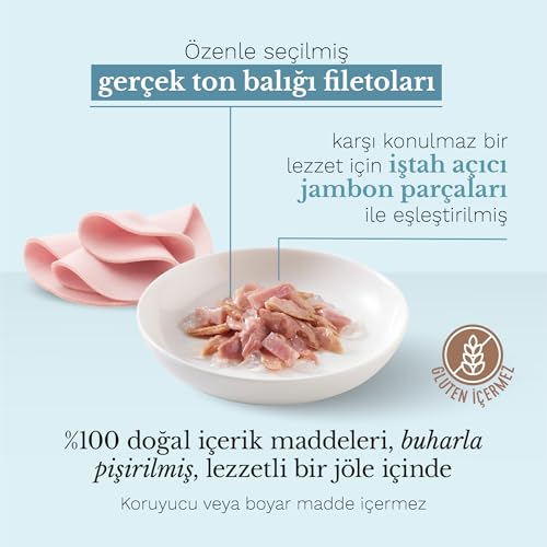 Schesir, Thunfisch mit Gelee-Schinken, komplettes Nassfutter für Katzen, mit zusätzlichen Vitaminen, 100% natürlich, 6 Dosen à 85 g